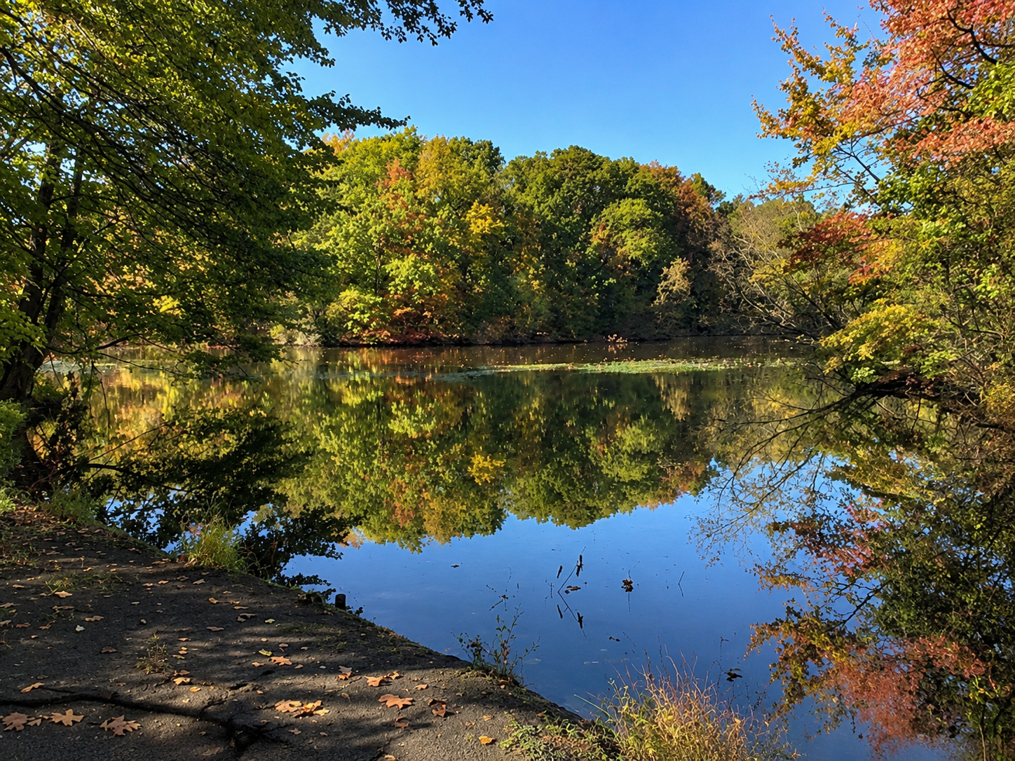 Mindowaskin Park in Westfield NJ